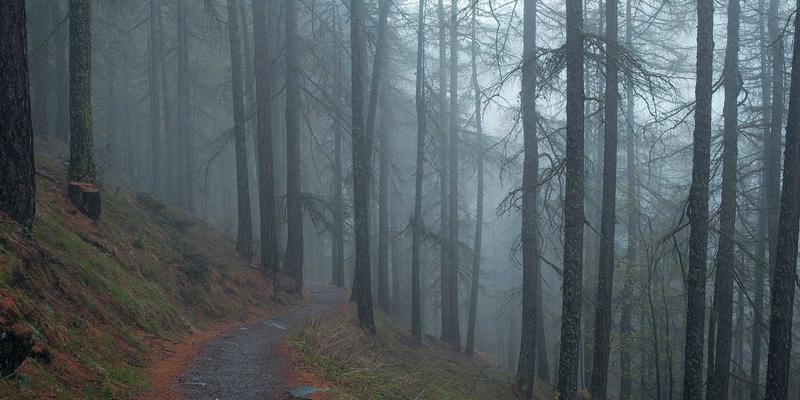 OpenClaw 多 Agent 协作：构建 AI 团队完成复杂任务